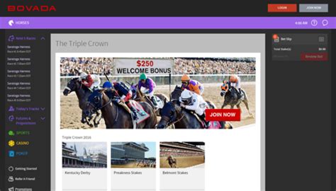 bovada horses|Bovada Racebook Review .